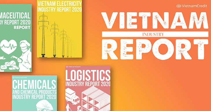 Vietnam industry report 